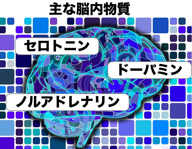 脳内物質の図