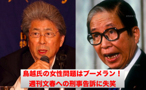 鳥越ブーメラン