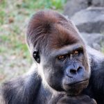 マウンティングアイキャッチ