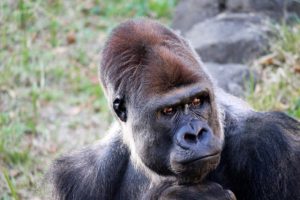 マウンティングアイキャッチ