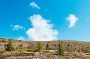 ダイヤモンド社から出版